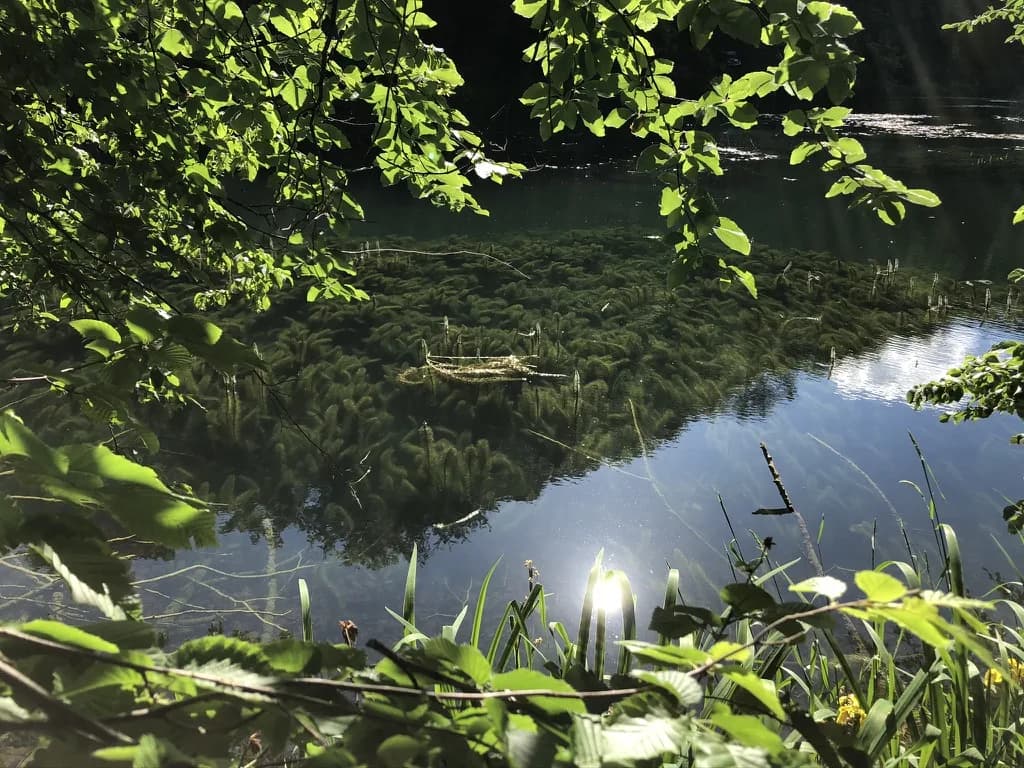 Jankovačko jezero