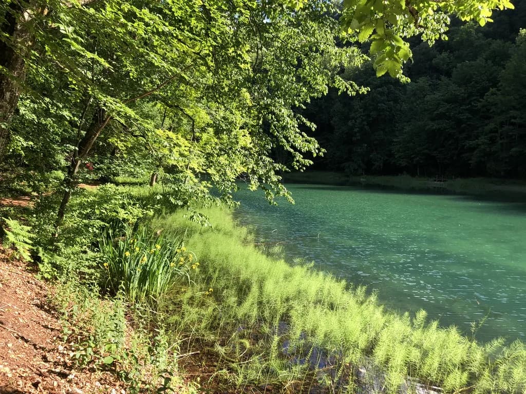 Jankovačko jezero, tri slike — jer je predivno