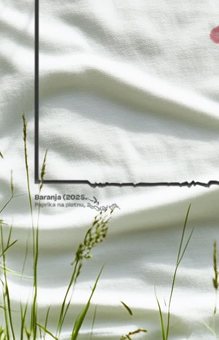 T-shirt Baranja (Limited Edition) — 4
